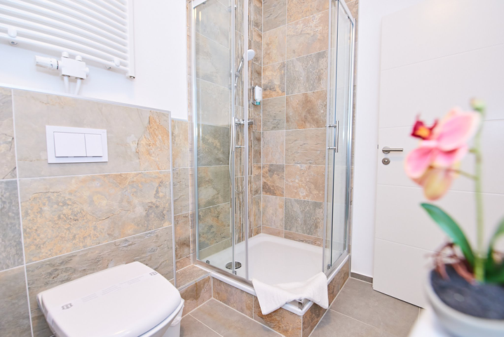 Фото Hotel Phoenix