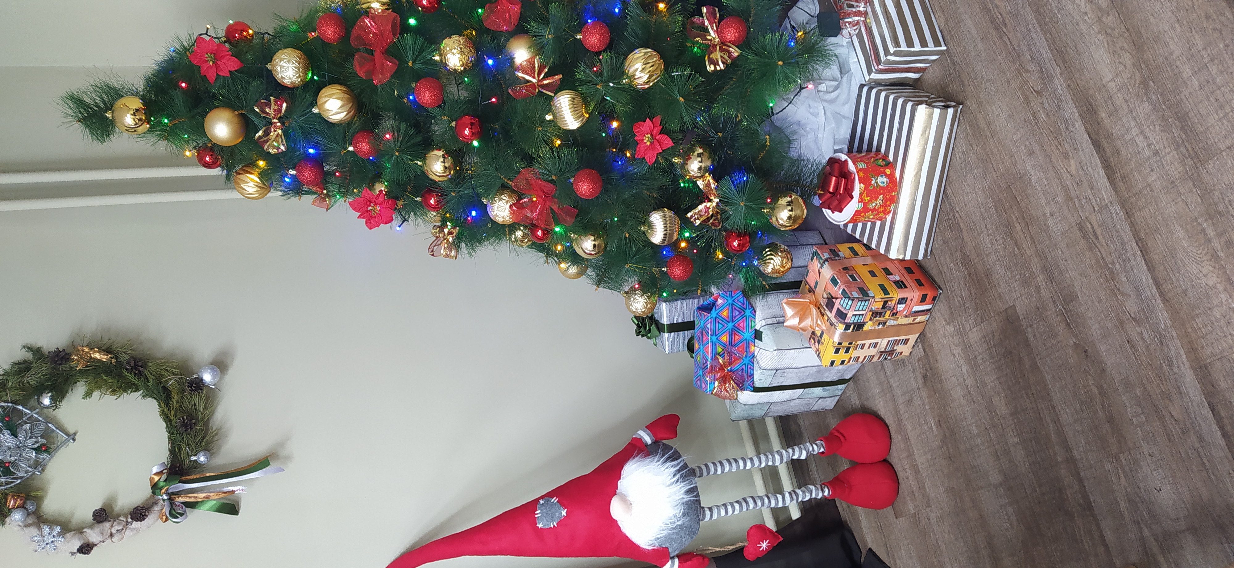 Фото Улитка