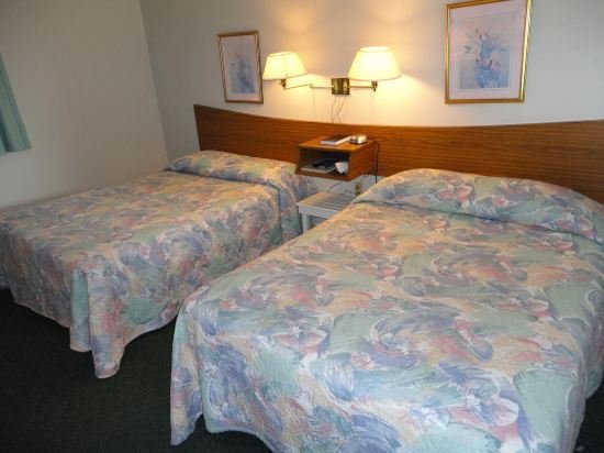 Фото Pine cone Motel