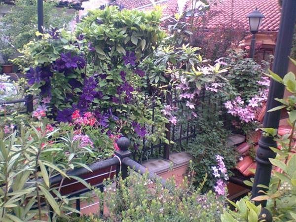 Фото Hotel Alafrangite