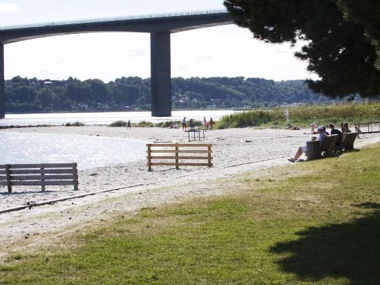 Фото Hotel Hedegaarden