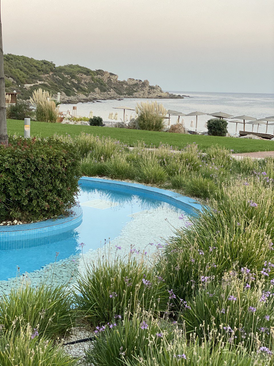 Фото Elysium Resort & SPA