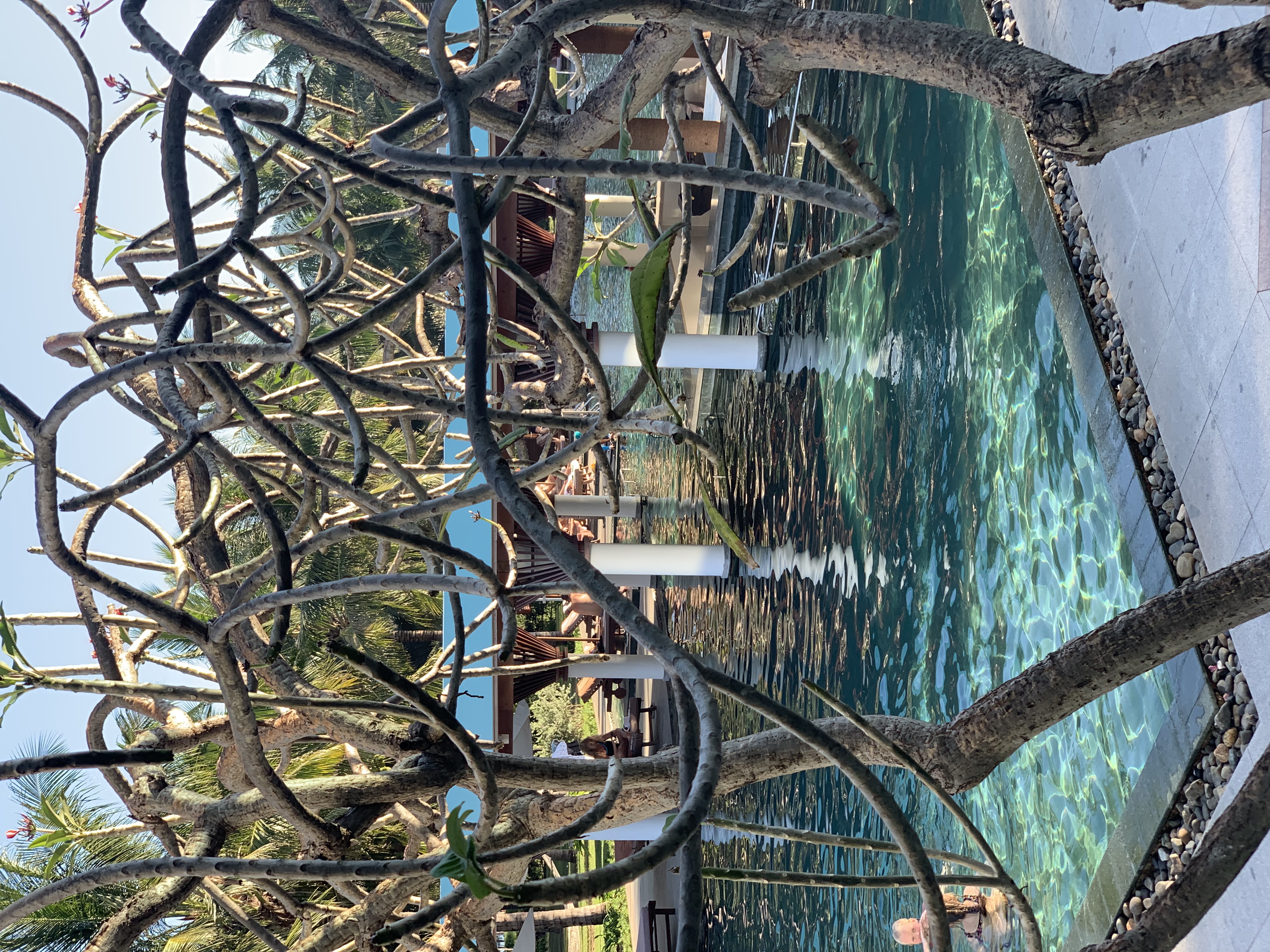 Фото Cam Ranh Riviera Beach Resort & SPA 