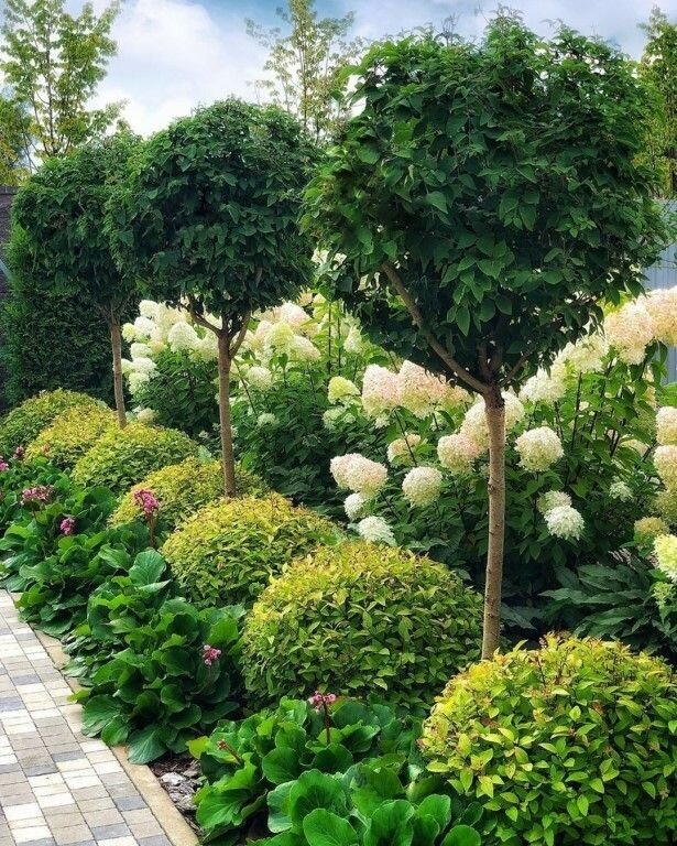 متجر مستلزمات البستنة Садовый центр Лианна ، موسكو ومحافظة موسكو، صورة