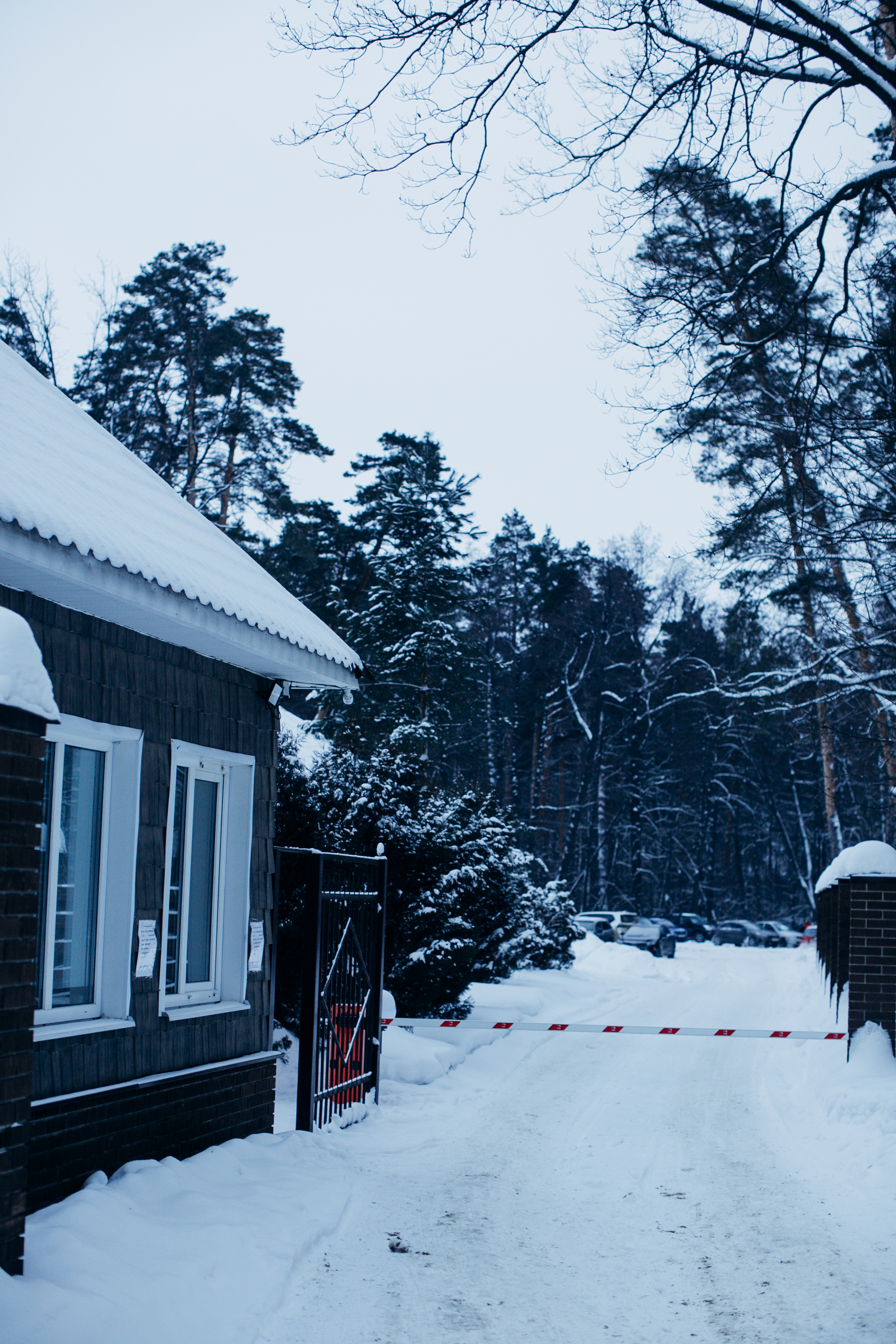 Фото Галдым