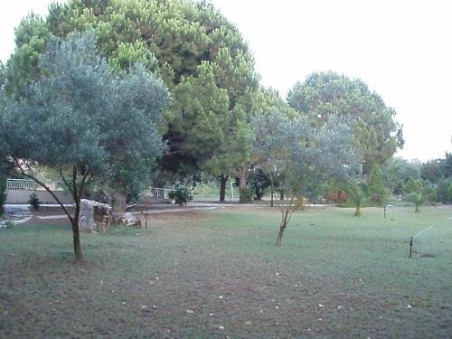 Фото Amalia Hotel