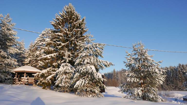 Фото Шале Клёвер