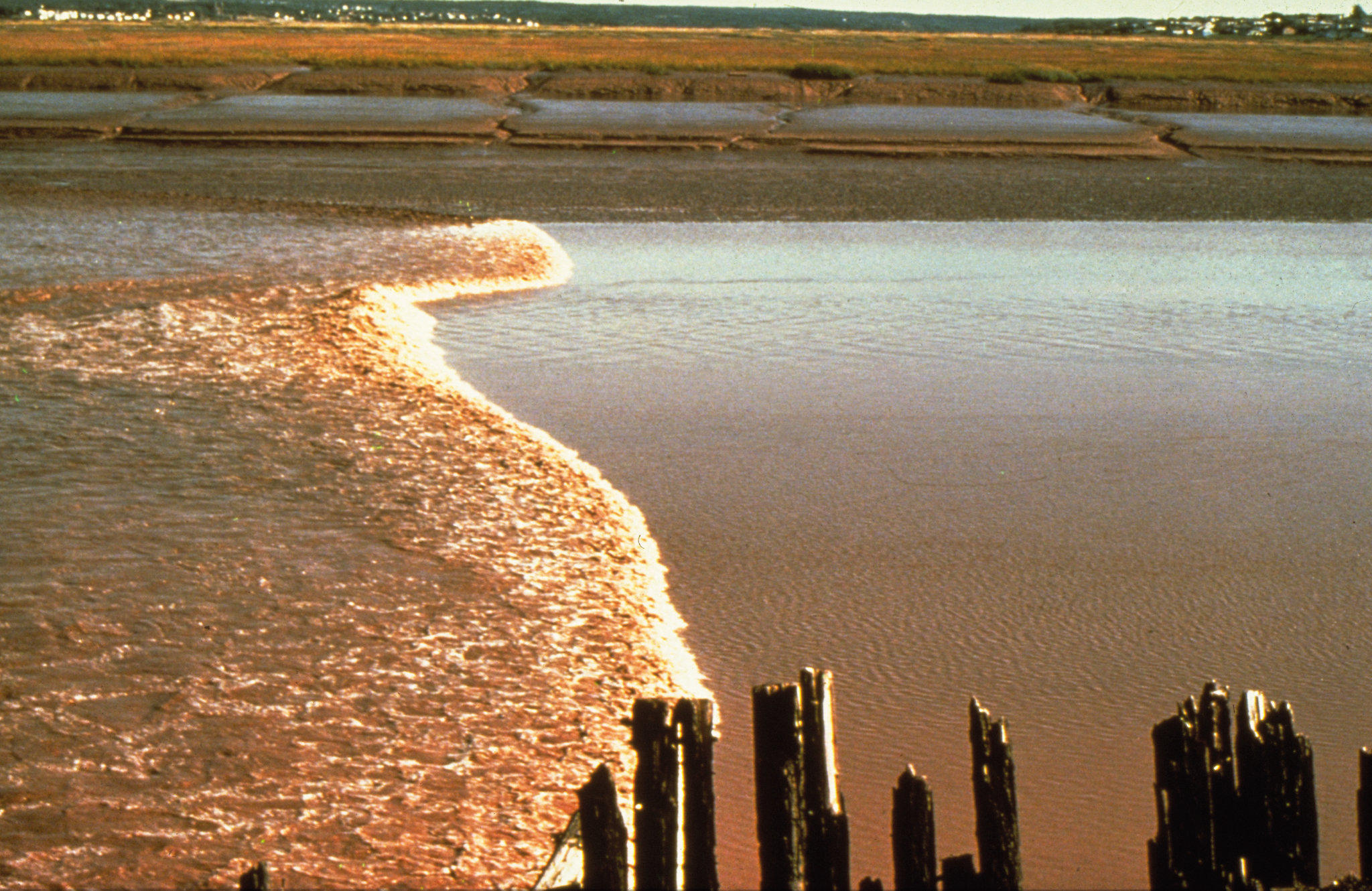 Фото Crowne Plaza Moncton-Downtown, an Ihg Hotel