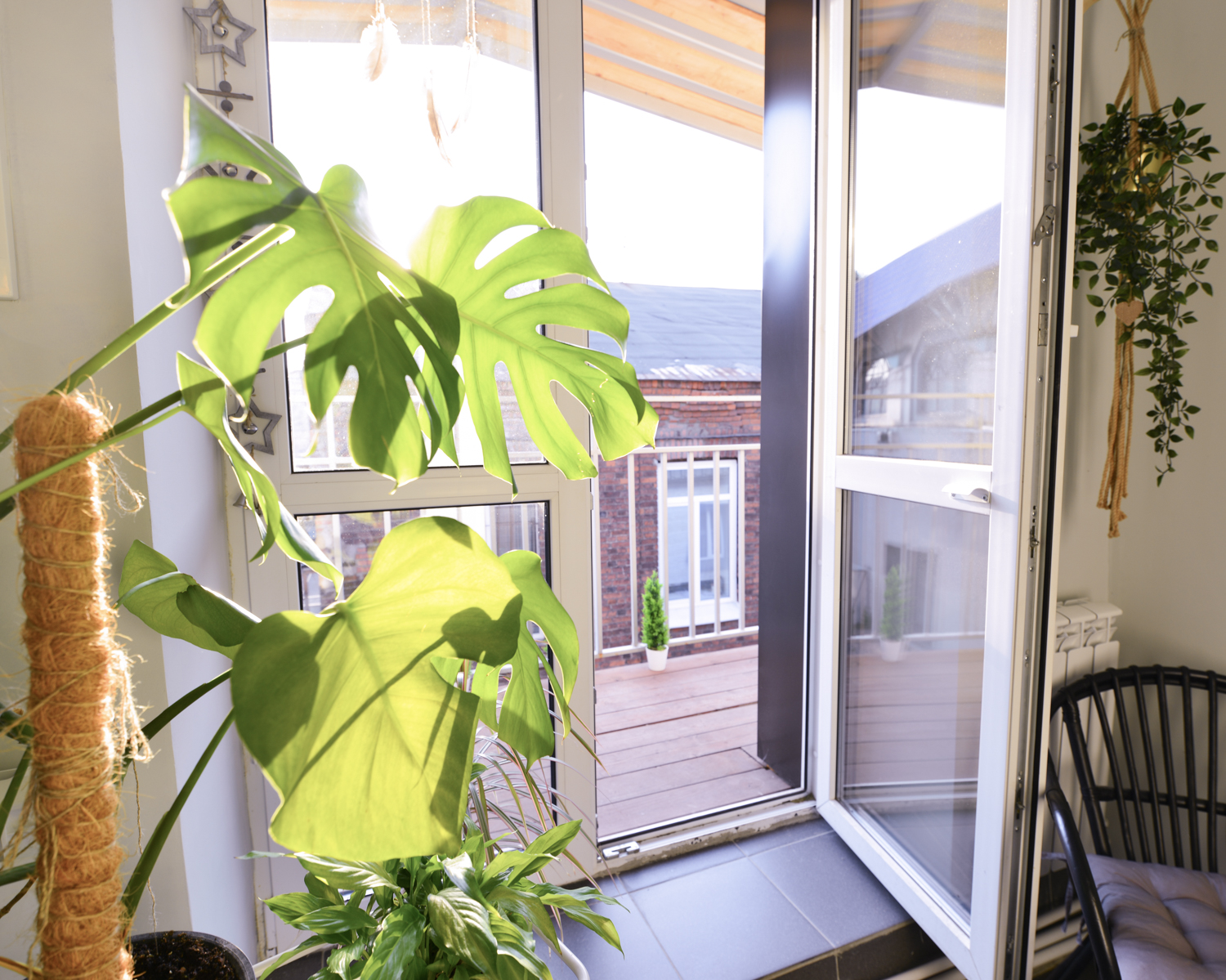 Фото Сканди Хаус