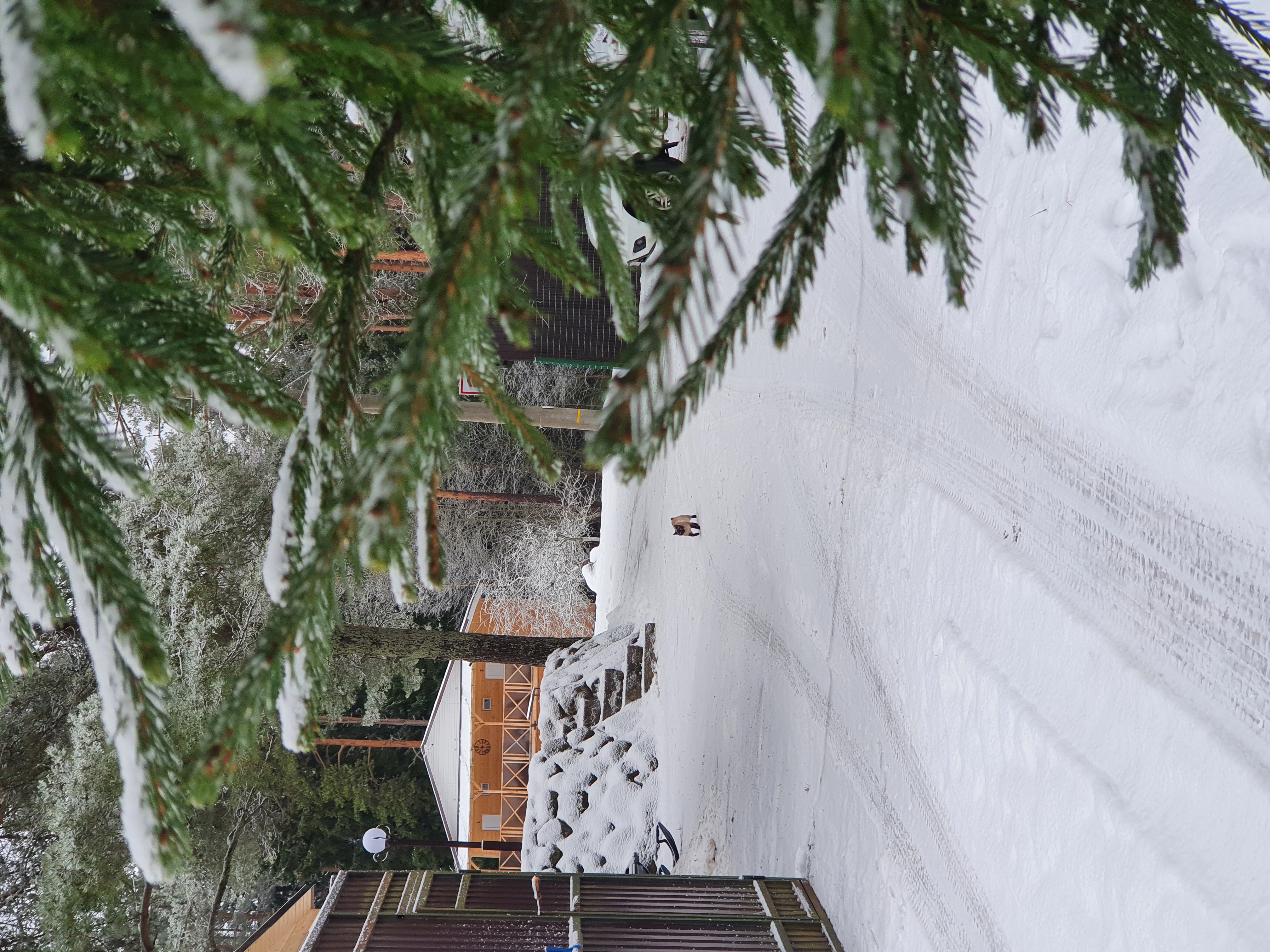 Фото Валдай Пространство мечты