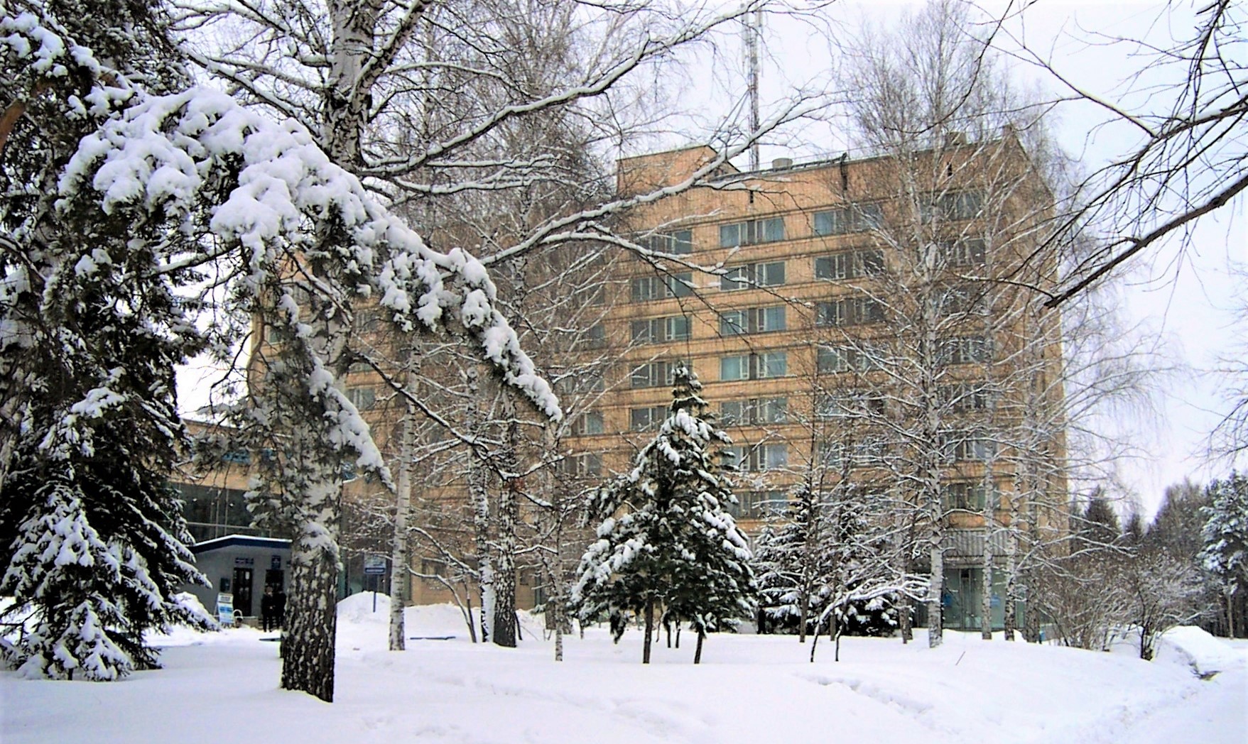 Фото Золотая долина