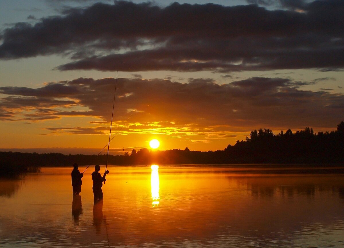 Фото Белые мосты