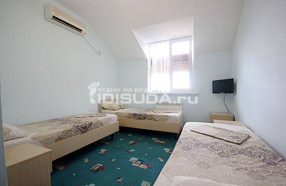 Фото Южный Платан