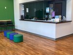 Ivy Rehab for Kids (United States, Zion Crossroads, 73 Jefferson Court), speech therapists