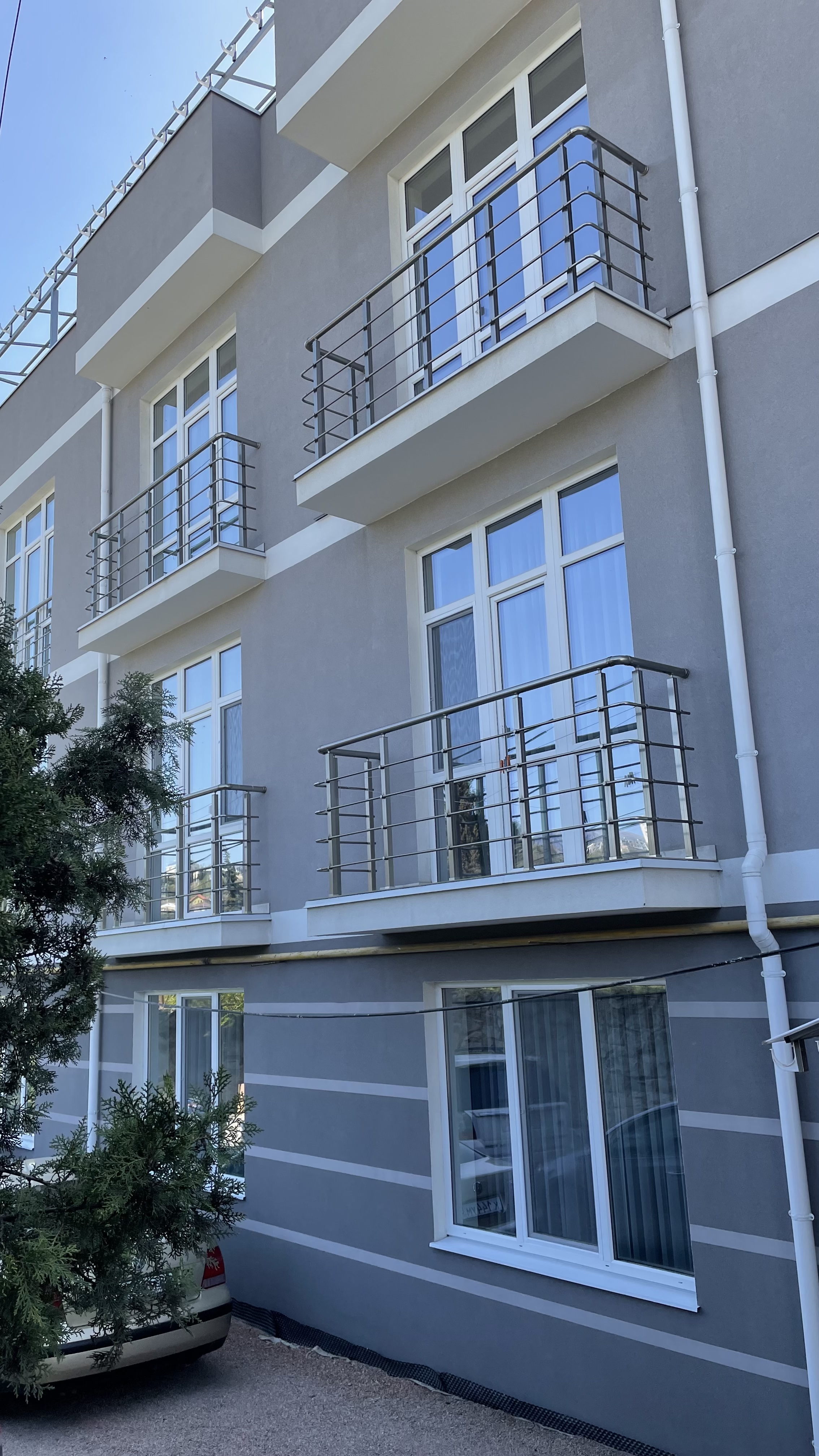 Фото Виноград