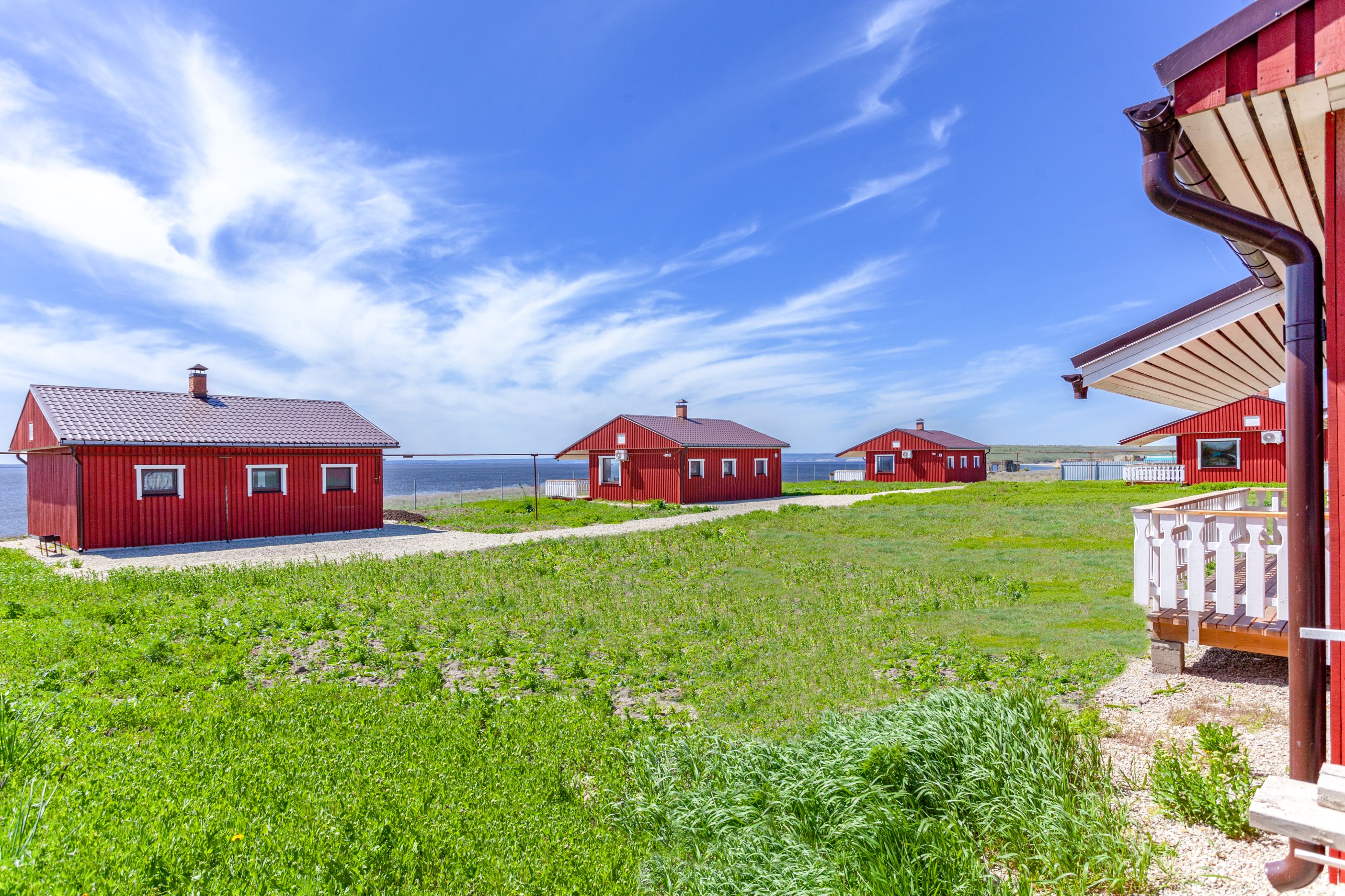 Фото Золотое