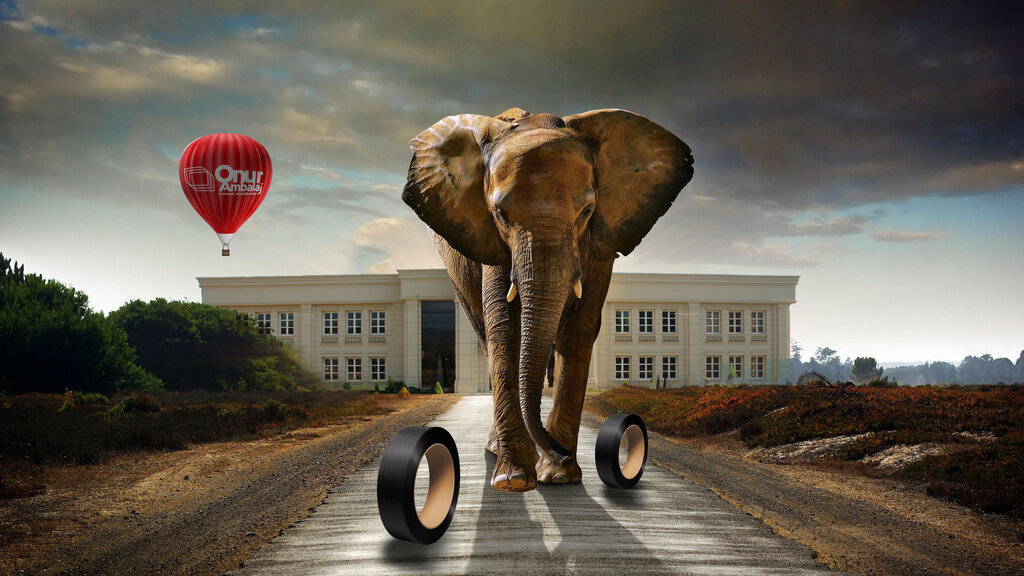 Packing and packaging equipment Onur Ambalaj, Cilimli, photo