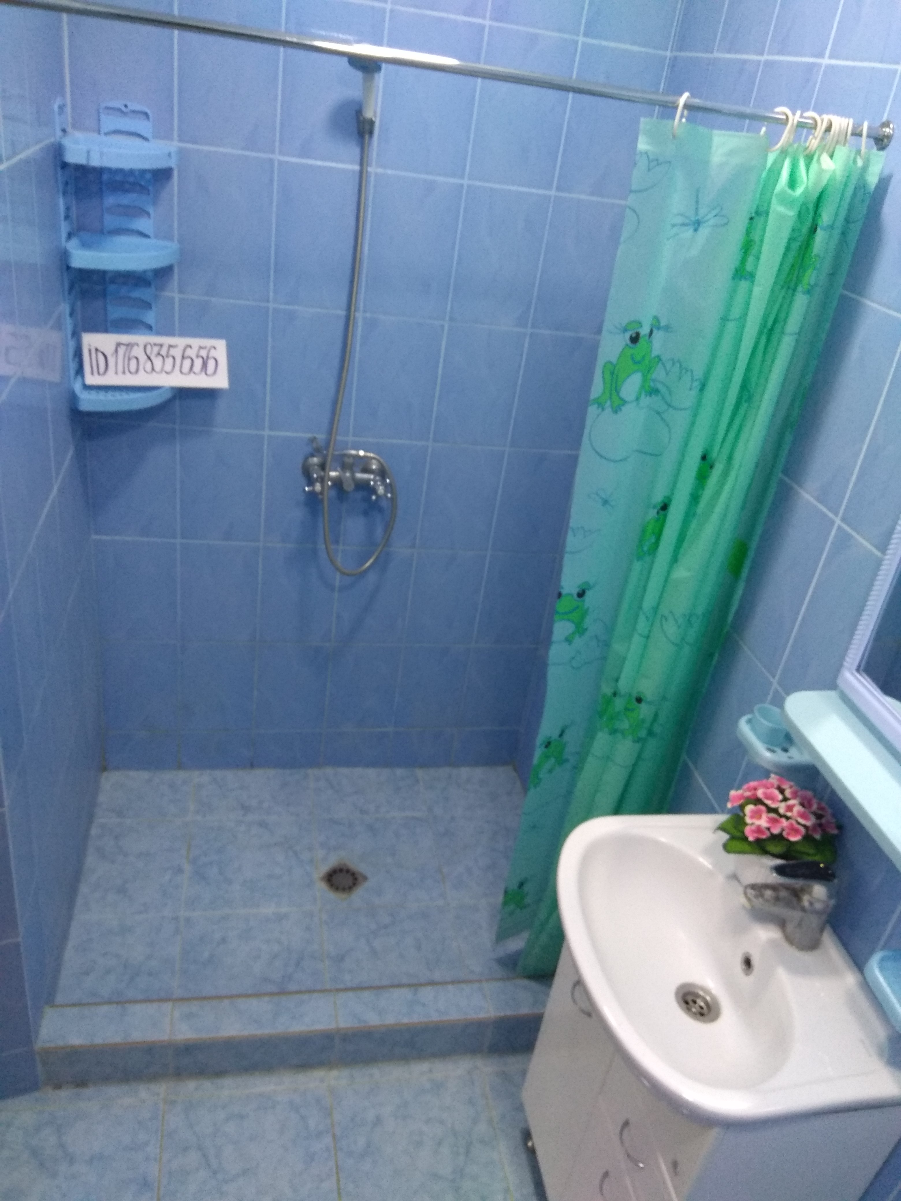 Фото Гостилово