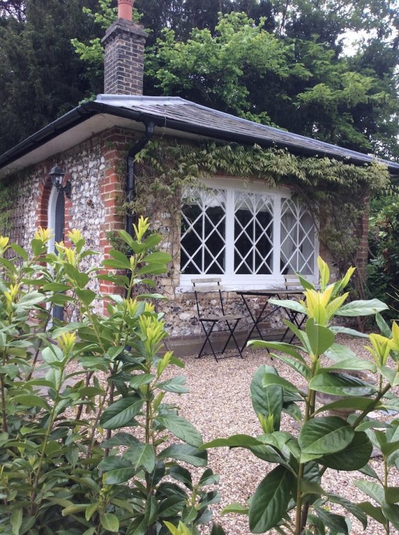 Фото The Running Horses