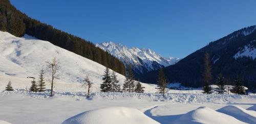 Фото Alpenrose Garni