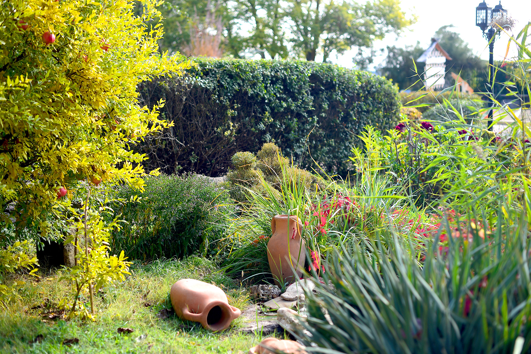 Фото Трехгорка