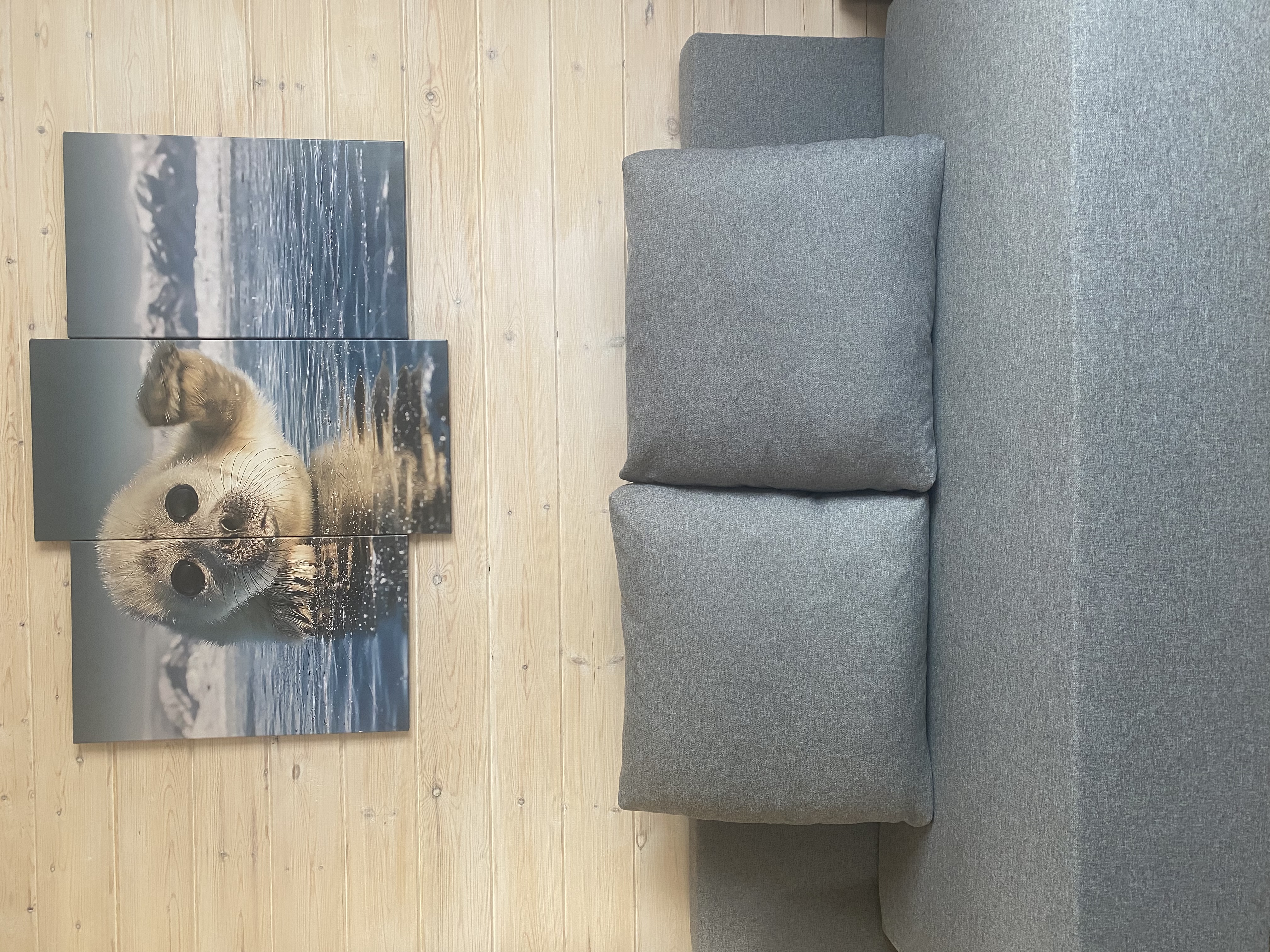 Фото Конкордия