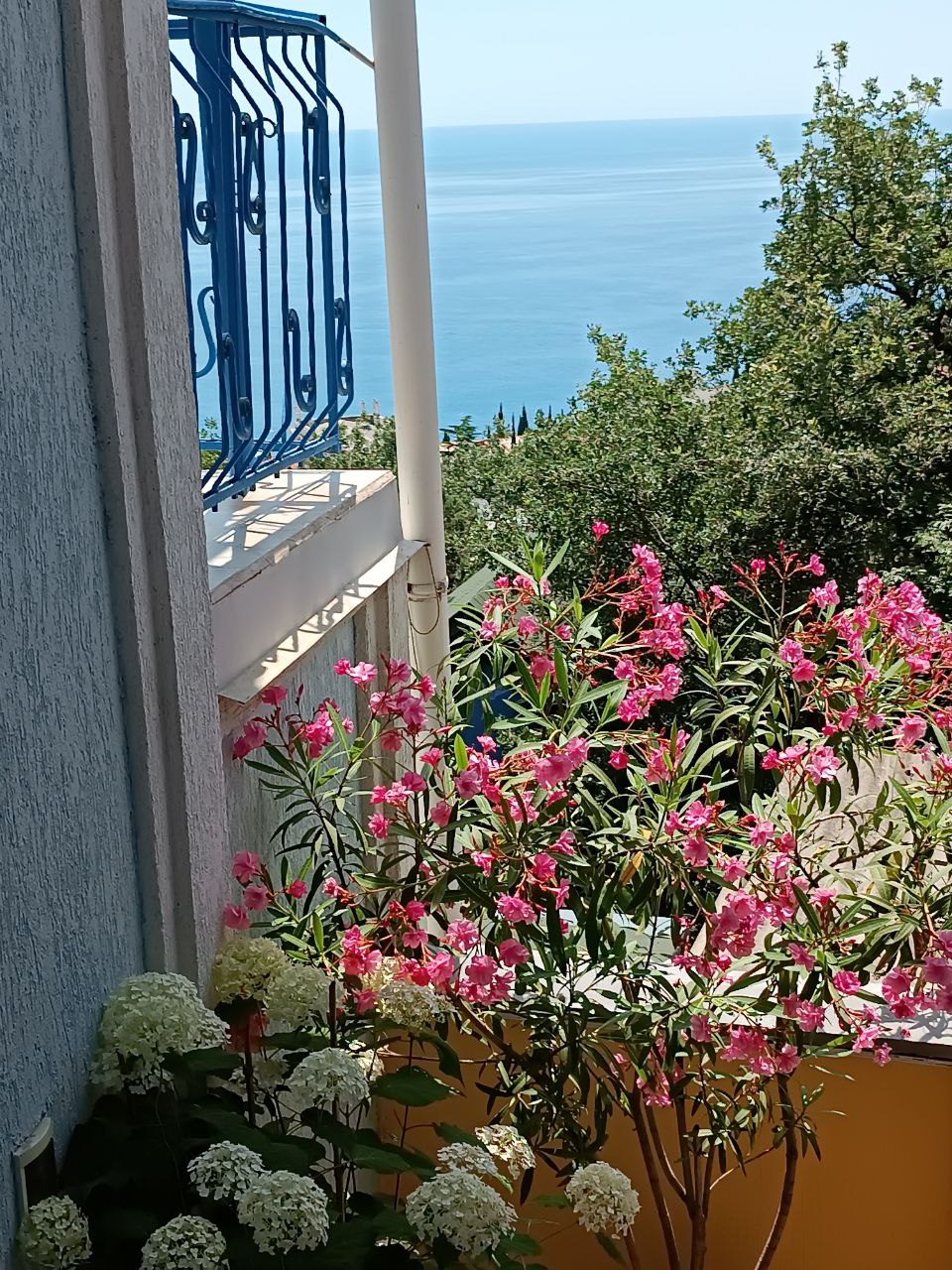 Фото Лесные дворики