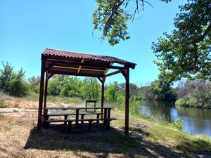 Зеленая стоянка у нептуна (Volgograd Region, Sredneakhtubinskiy rayon, Frunzenskoye selskoye poseleniye), place for picnic