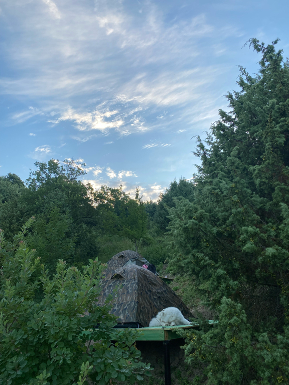 Фото Наша Чаша