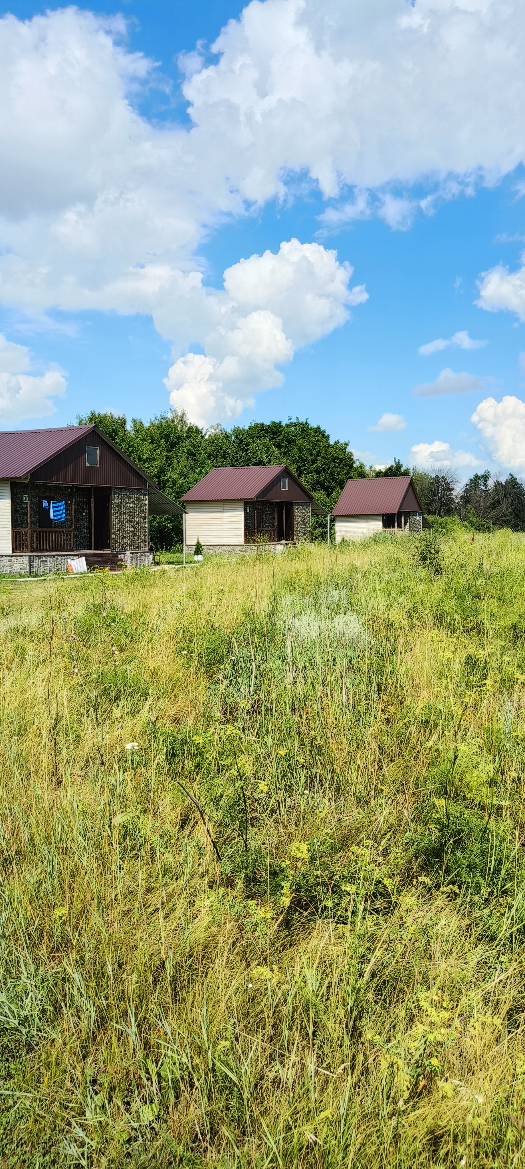 Фото Волшебница