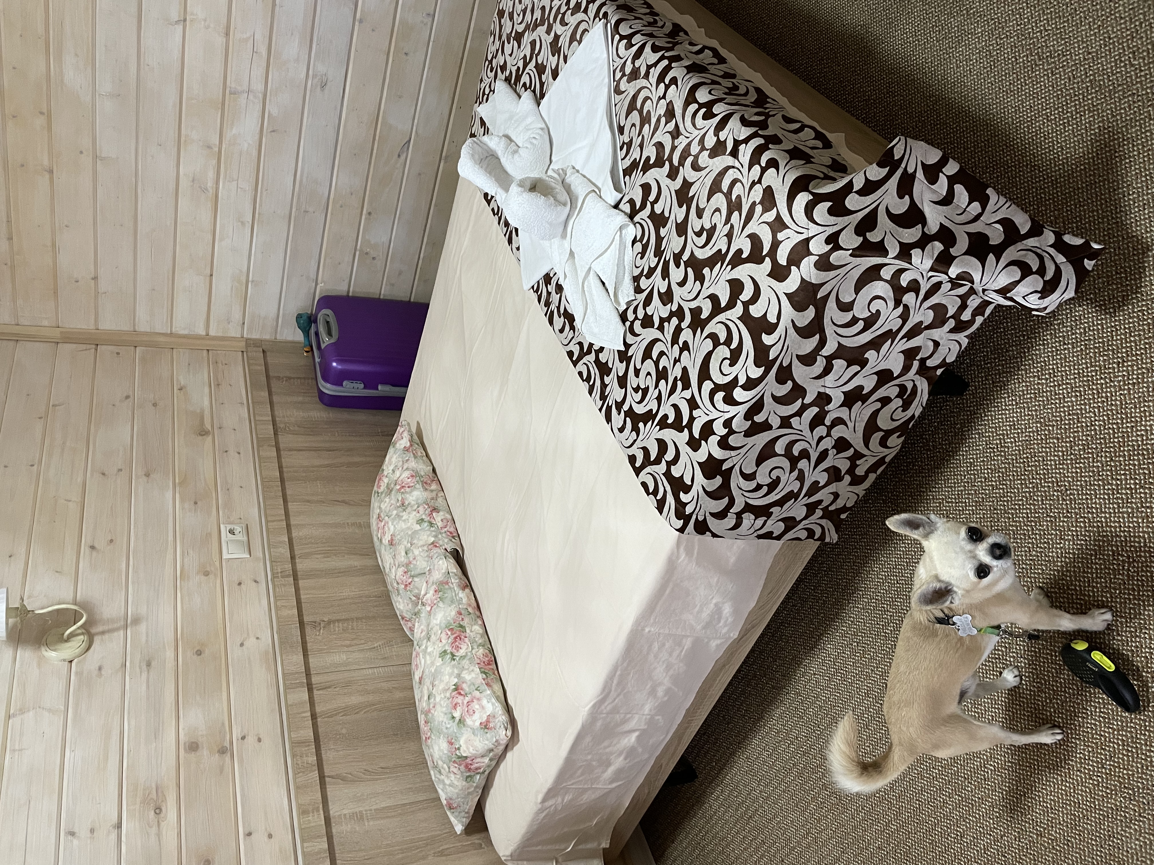 Фото Вилла на песке