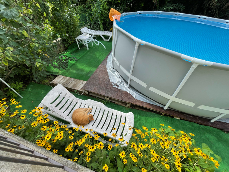 Фото Афродита