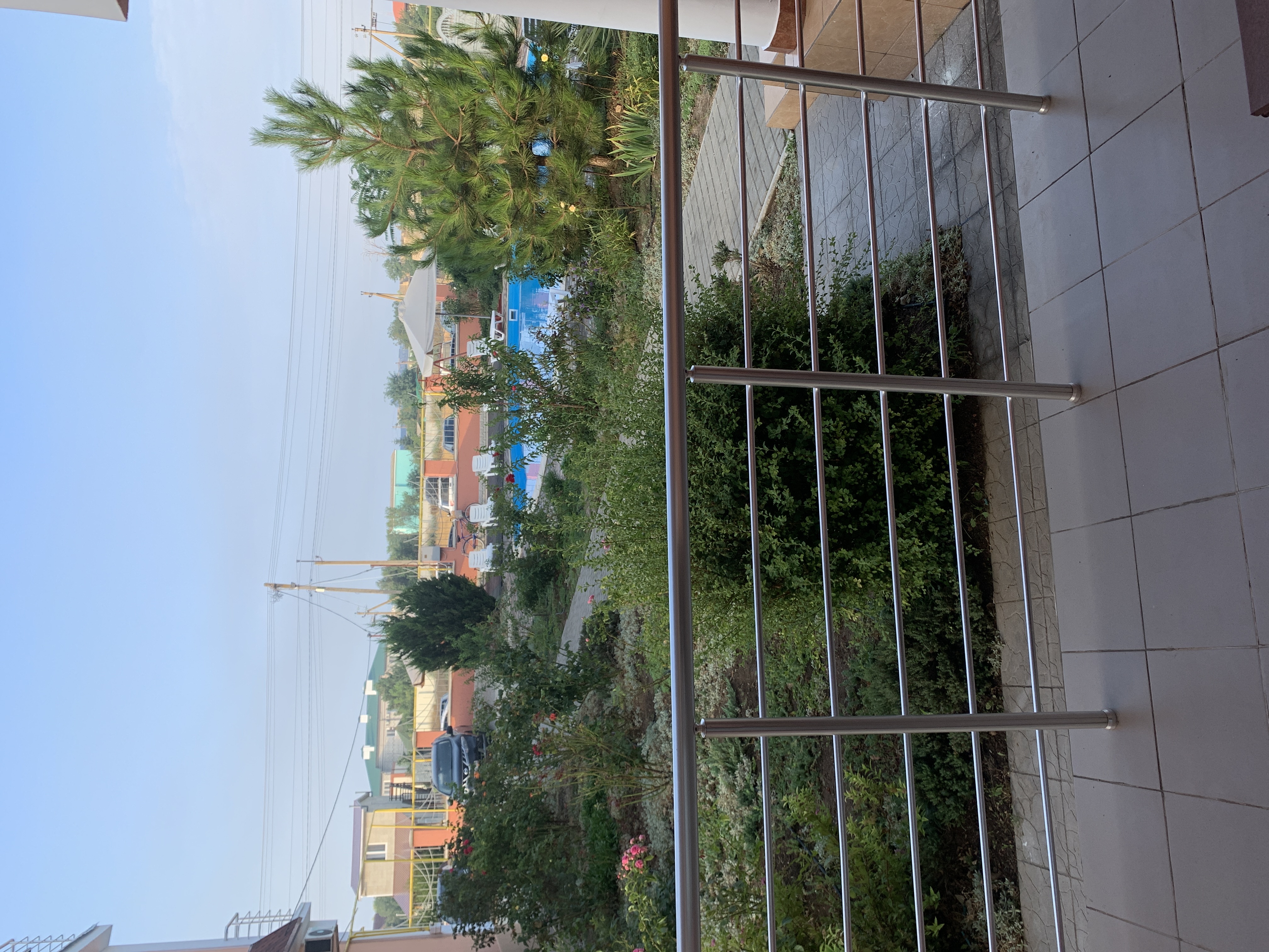 Фото Альтера