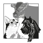 Tierarztpraxis Niederteufen AG (Аппенцелль-Аусерроден, Миттелланд, Rütihofstrasse, 1), питомник животных в Кантоне Аппенцелль ‑ Ауссерроден