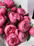 Momoko (Sheremetyevskaya Street, 20), flower shop