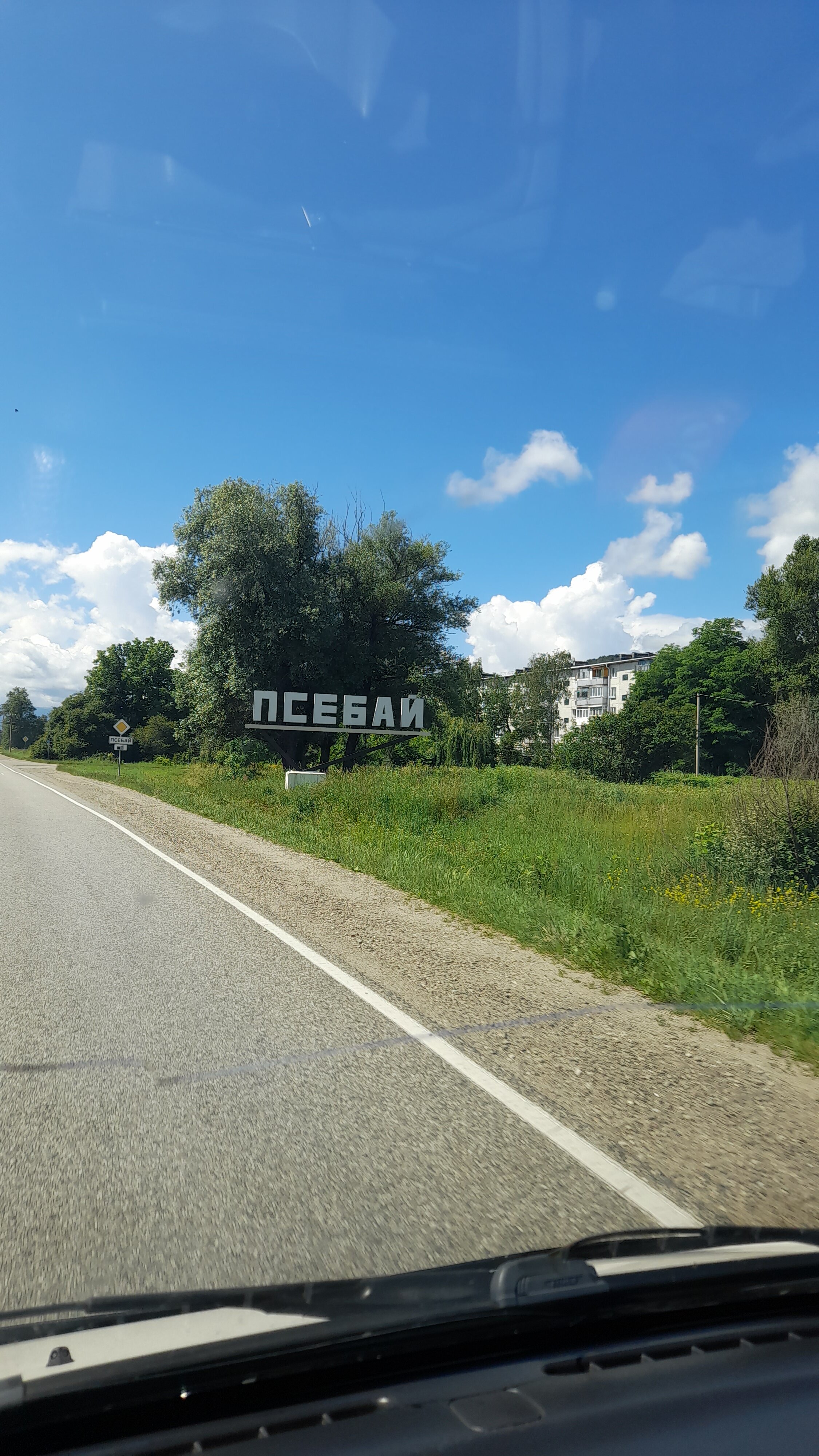 Фото Березки