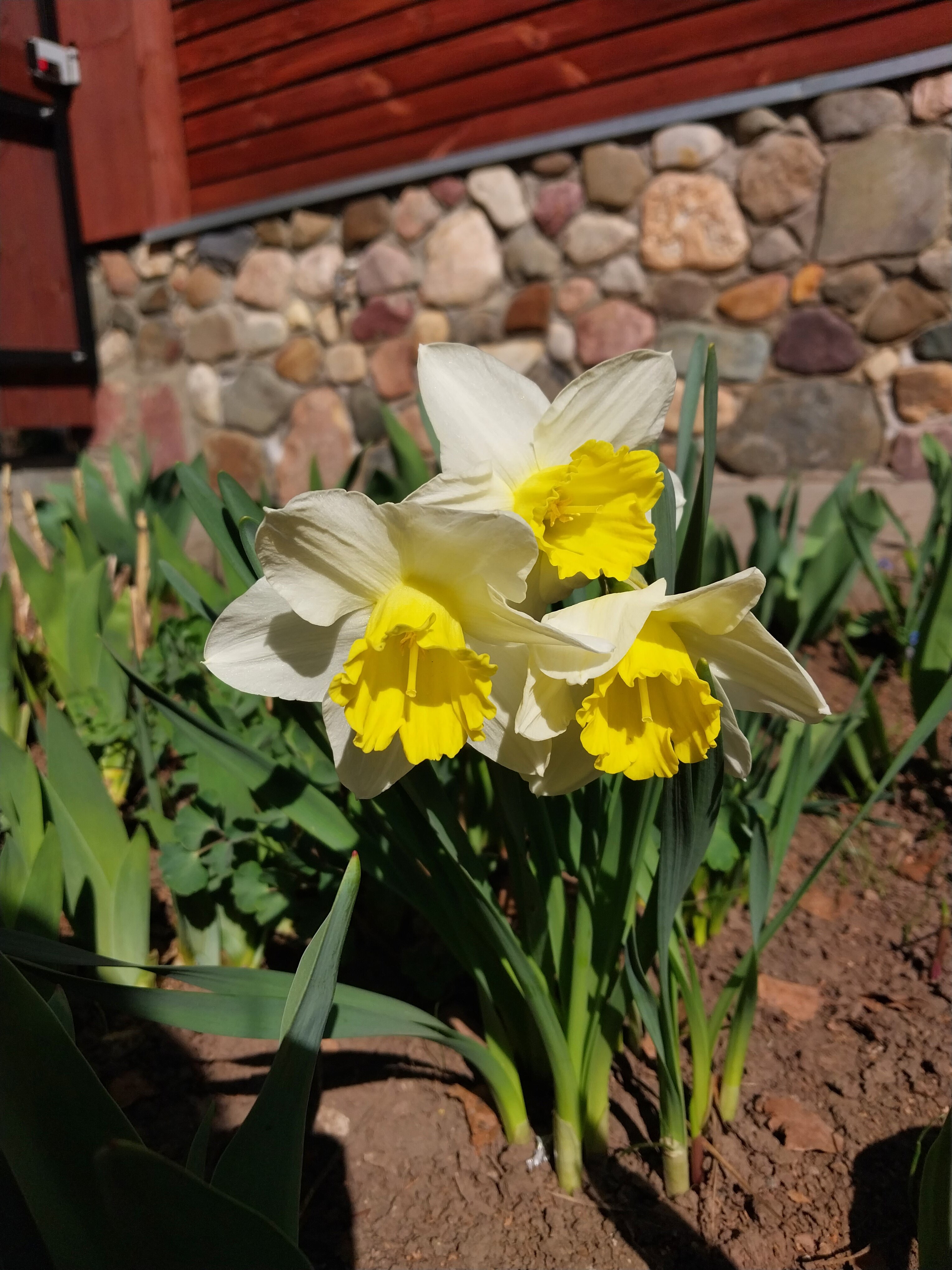 Фото Суздальское подворье с русской баней