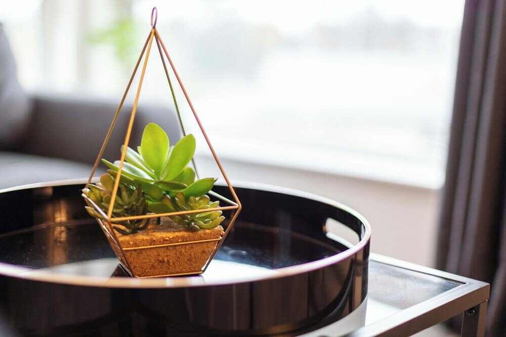 Фото Walker Suite № 73 - Donnini Apartments