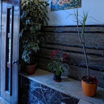 Фото Hotel Amendola Fiera