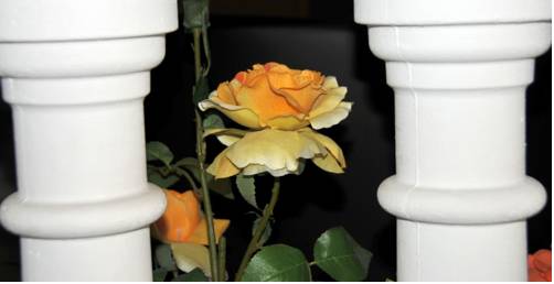 Фото Hotel Parisien