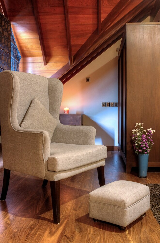 Фото Tea Plant Nuwara Eliya