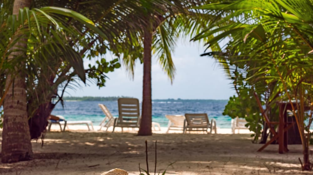 Фото Lvis Blancura