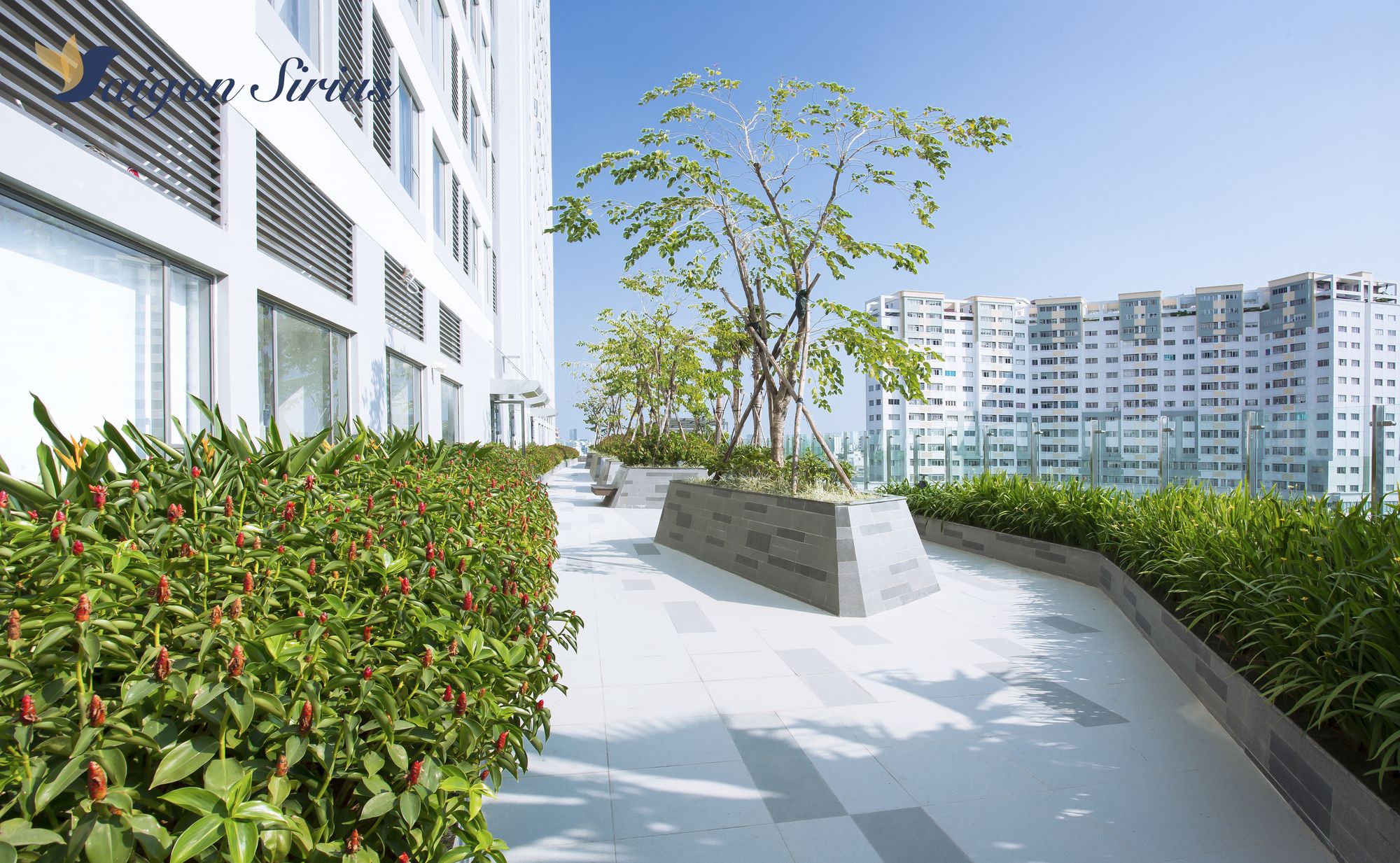 Фото Saigon Sirius