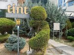 Tint Kafe & Bistro (Ankara Province, Cankaya District, Muhsin Yazıcıoğlu Cad., 49), cafetería