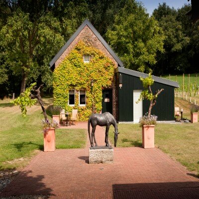 Фото Hotel Winselerhof