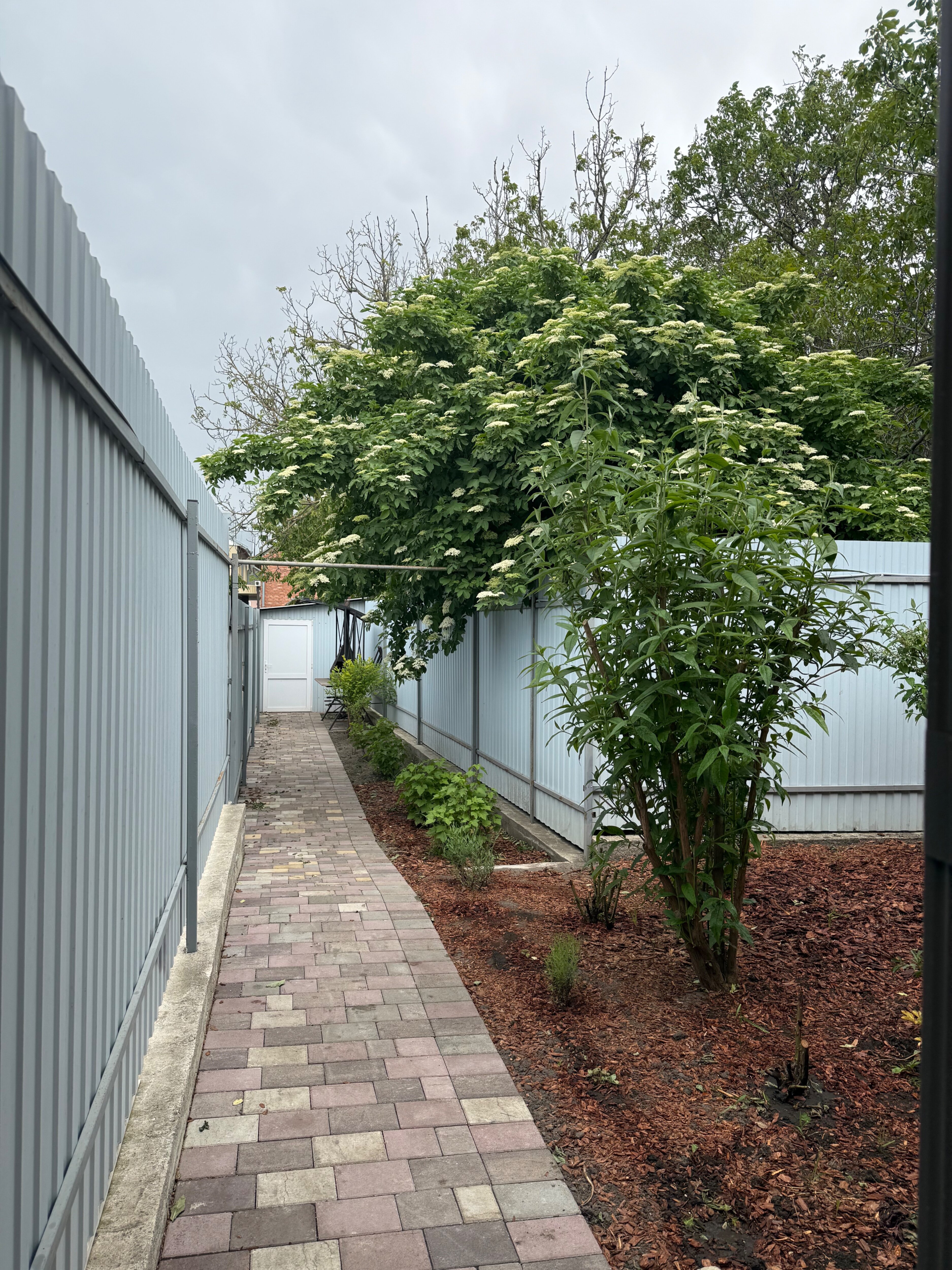 Фото Перельман