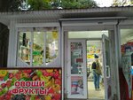 Продукты (Республика Крым, Ялта, Садовая улица), магазин продуктов в Ялте