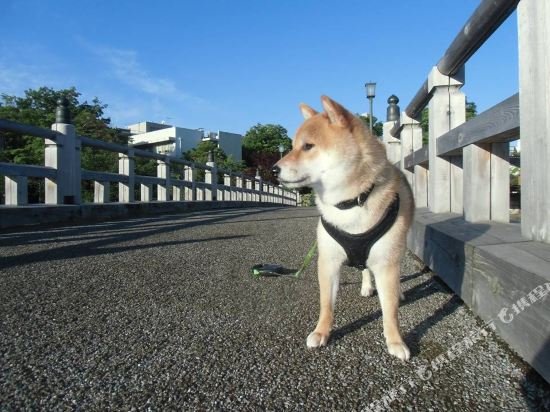 Фото Kanazawa Share House GAOoo