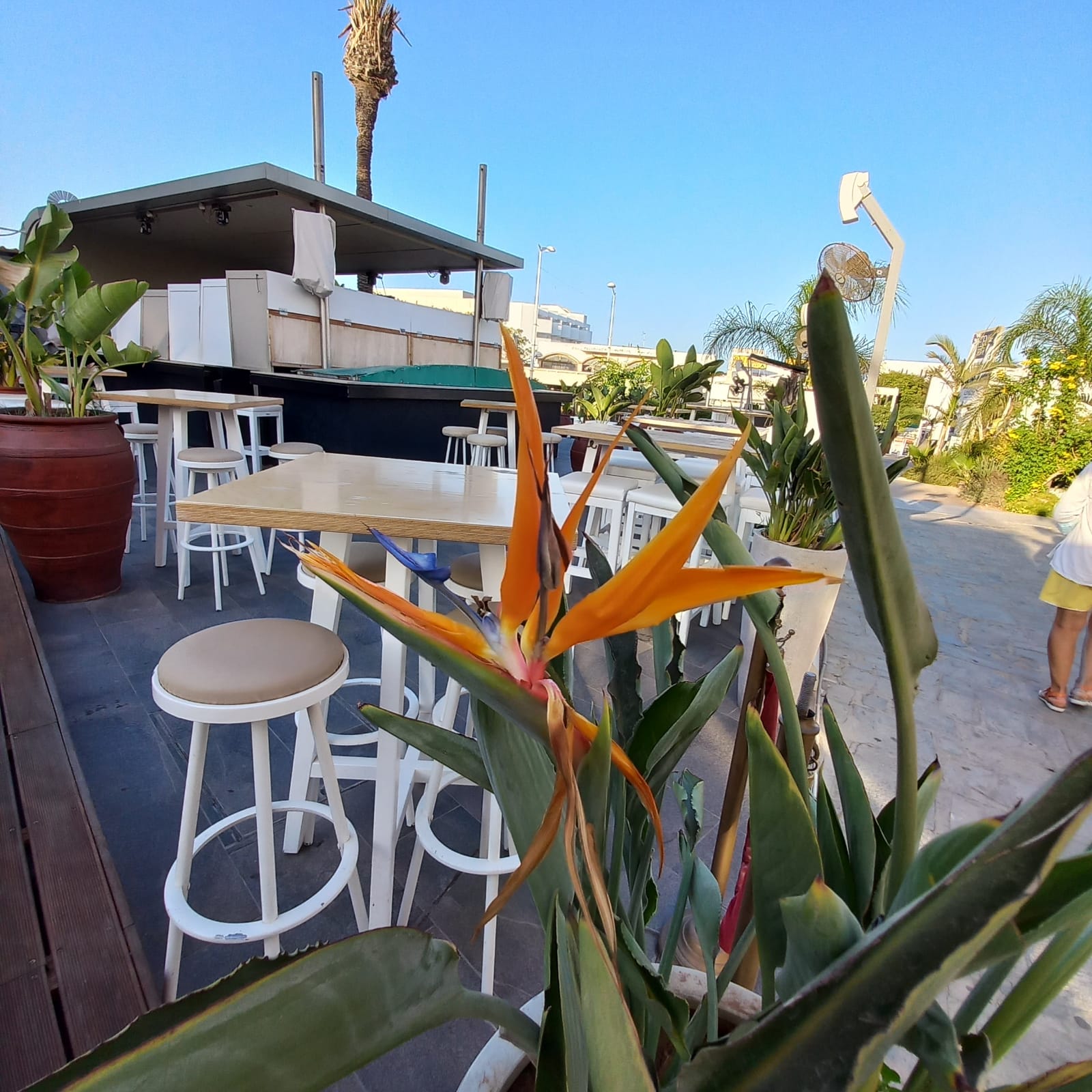 Фото Vangelis Hotel & Suites