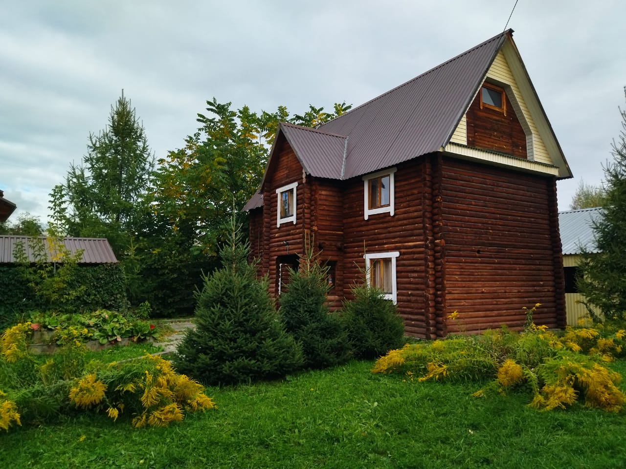 Фото Колибри